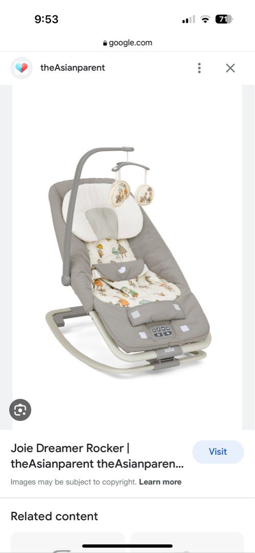 Joie dreamer baby online bouncer in the rain