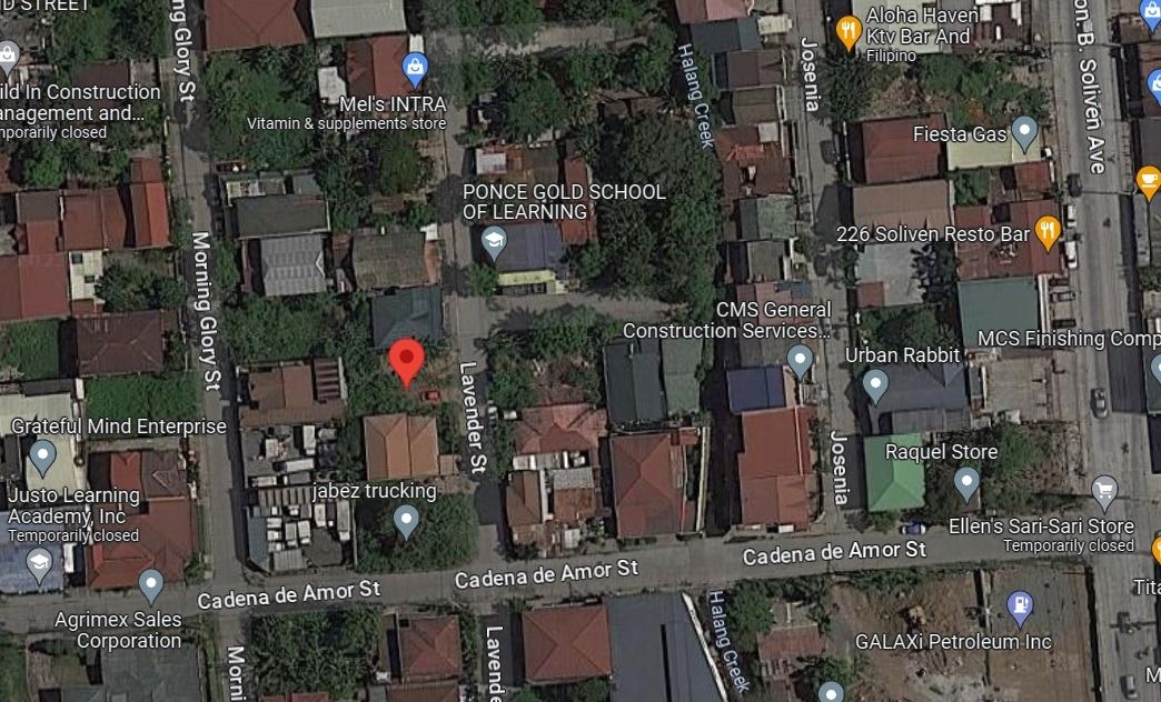 Lot for sale Greenheights Newtown Subd Mayamot Antipolo 240 SQM on