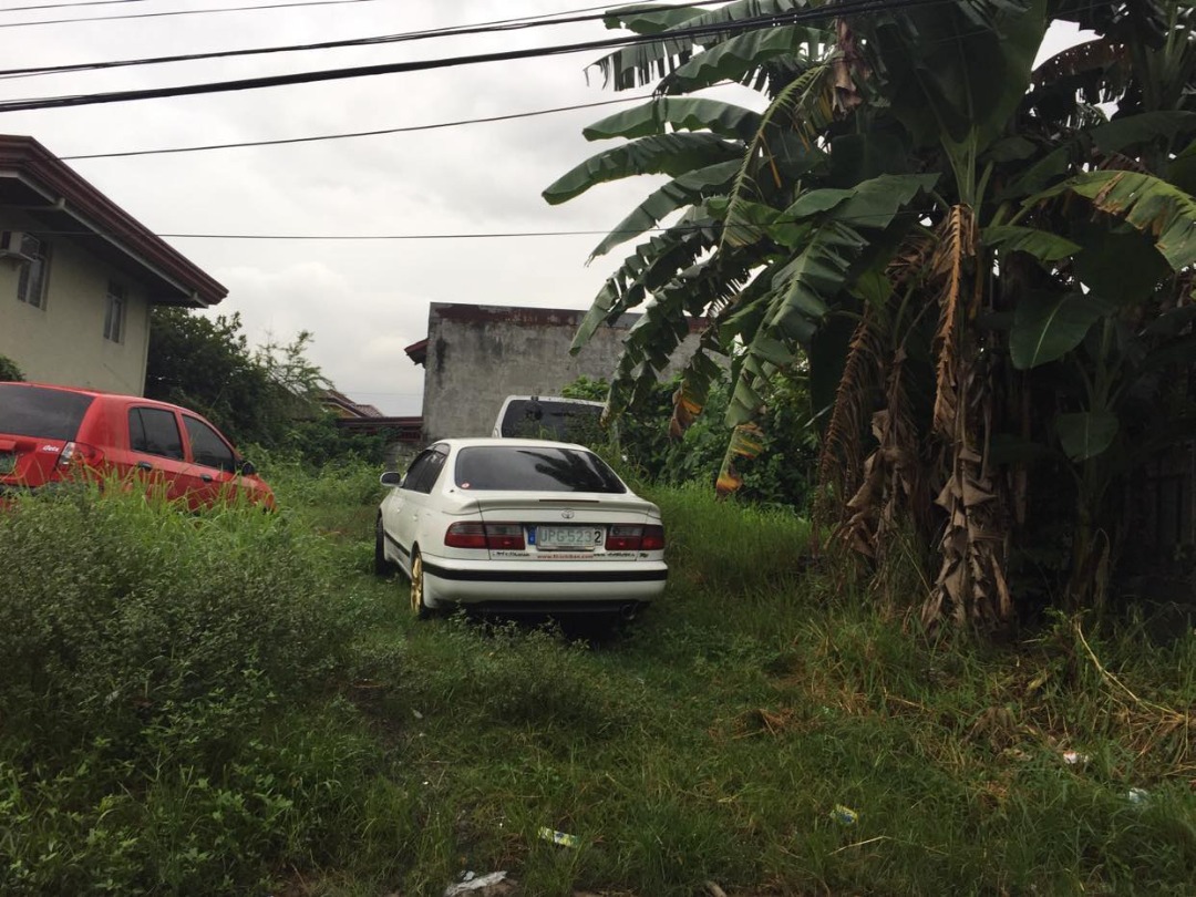 Lot for sale Greenheights Newtown Subd Mayamot Antipolo 240 SQM on