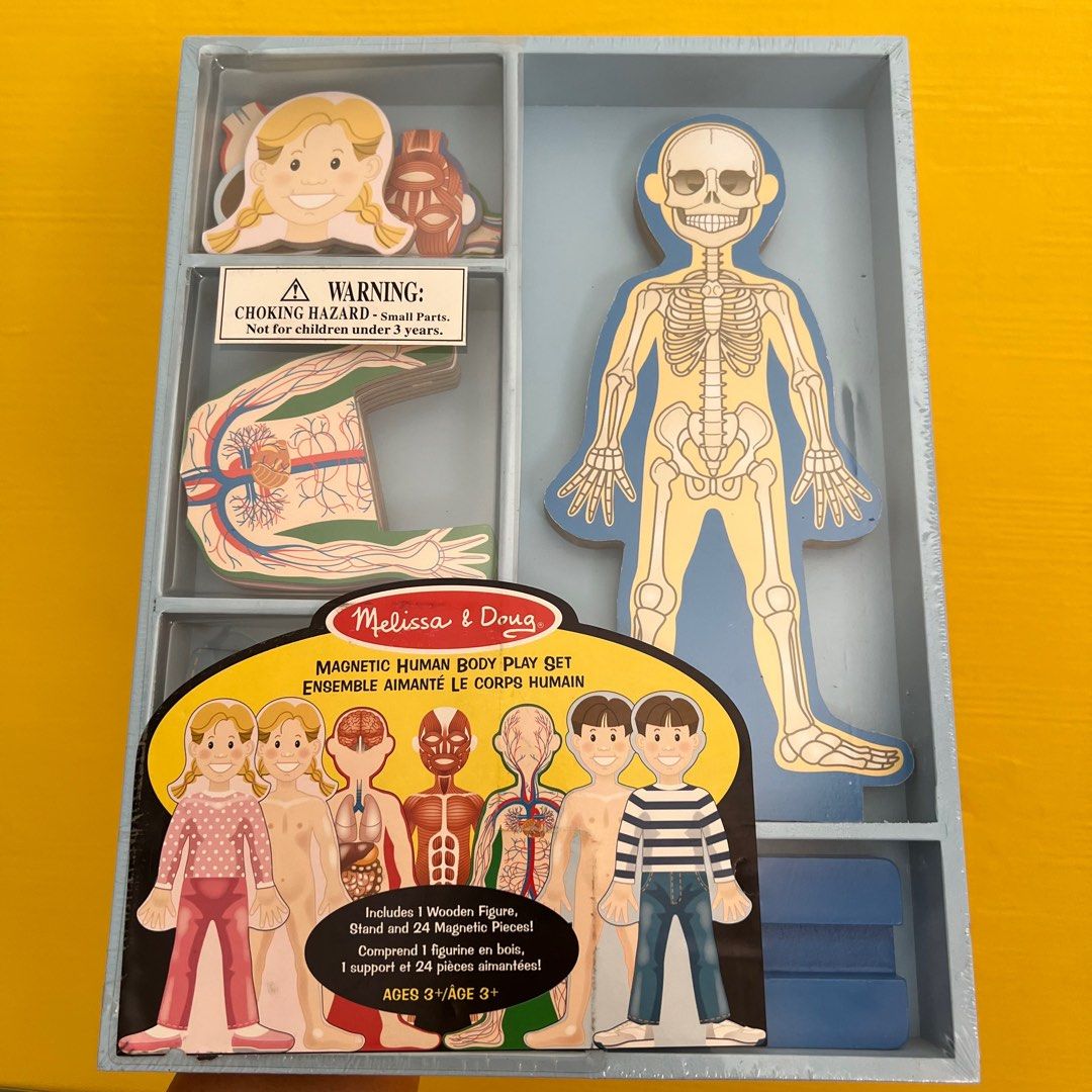 Melissa & doug magnetic human body anatomy play set top