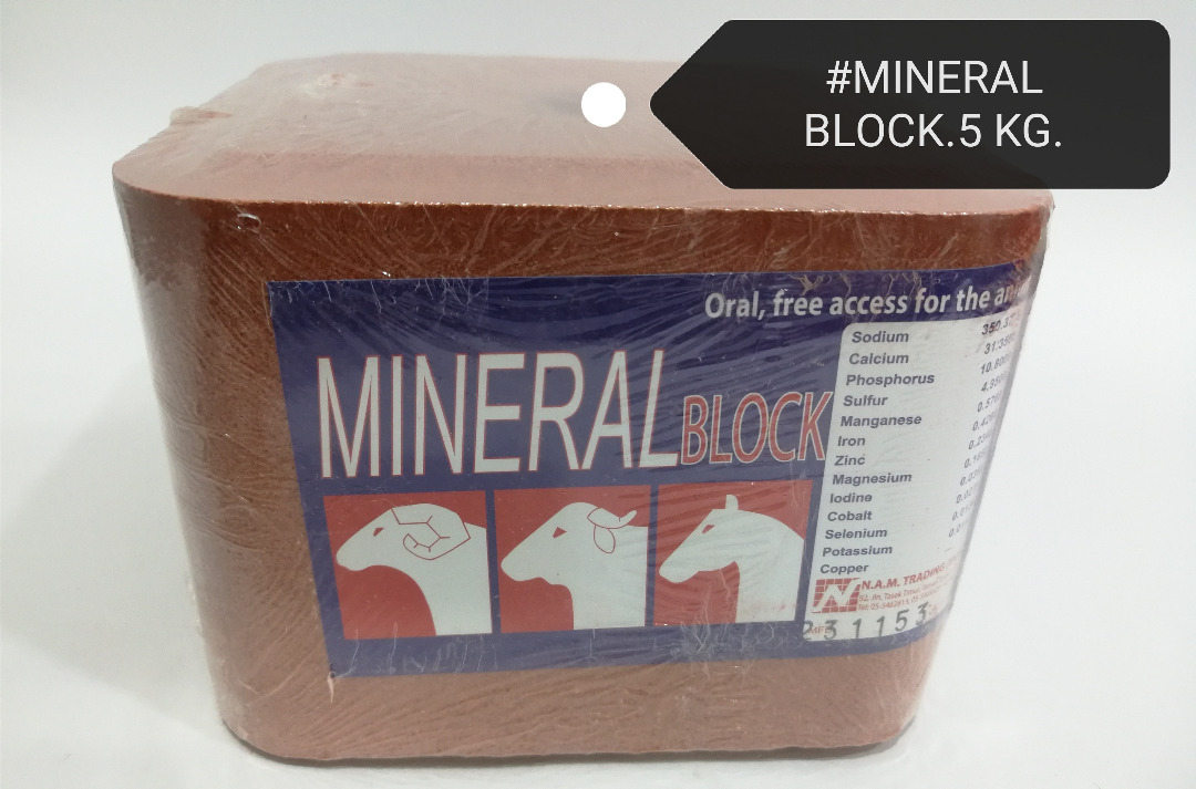 Mineral Block Cow Sheep Buffolo Livestock Horse Blok Garam Lembu
