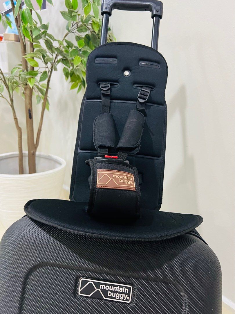 Mountain 2025 buggy bagrider