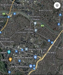 Near BGC commercial lot for sale - Kalayaan Ave. Makati lot for Sale