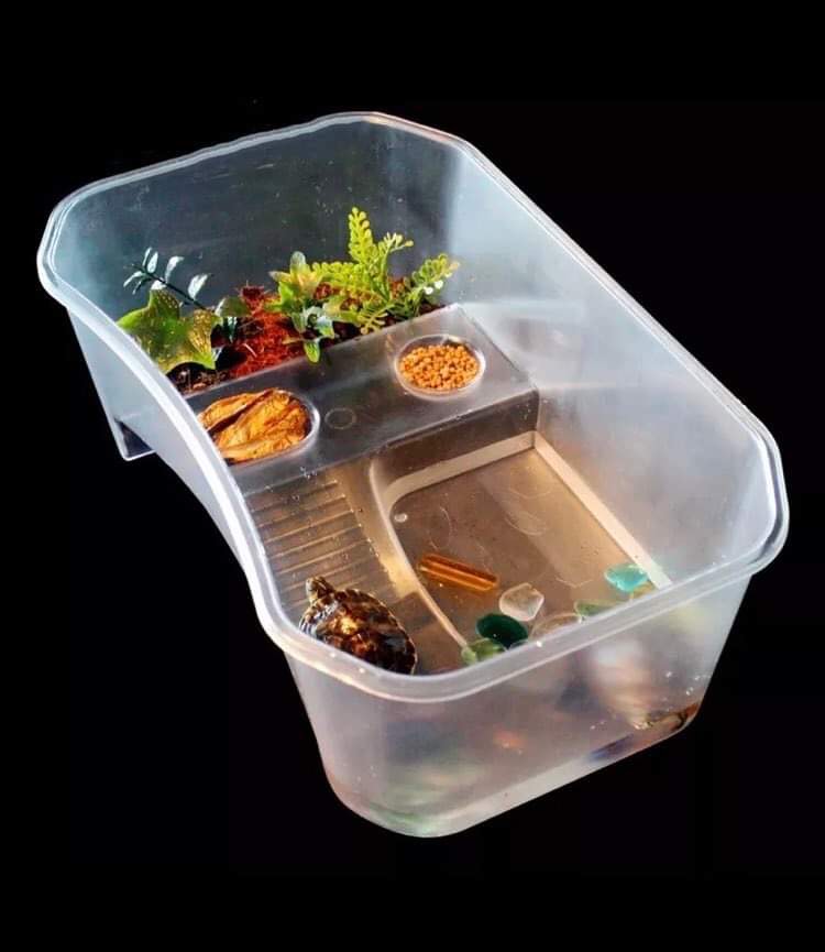 NEW! Turtle tub/ Turtle box size XL can host small to big size, Pet