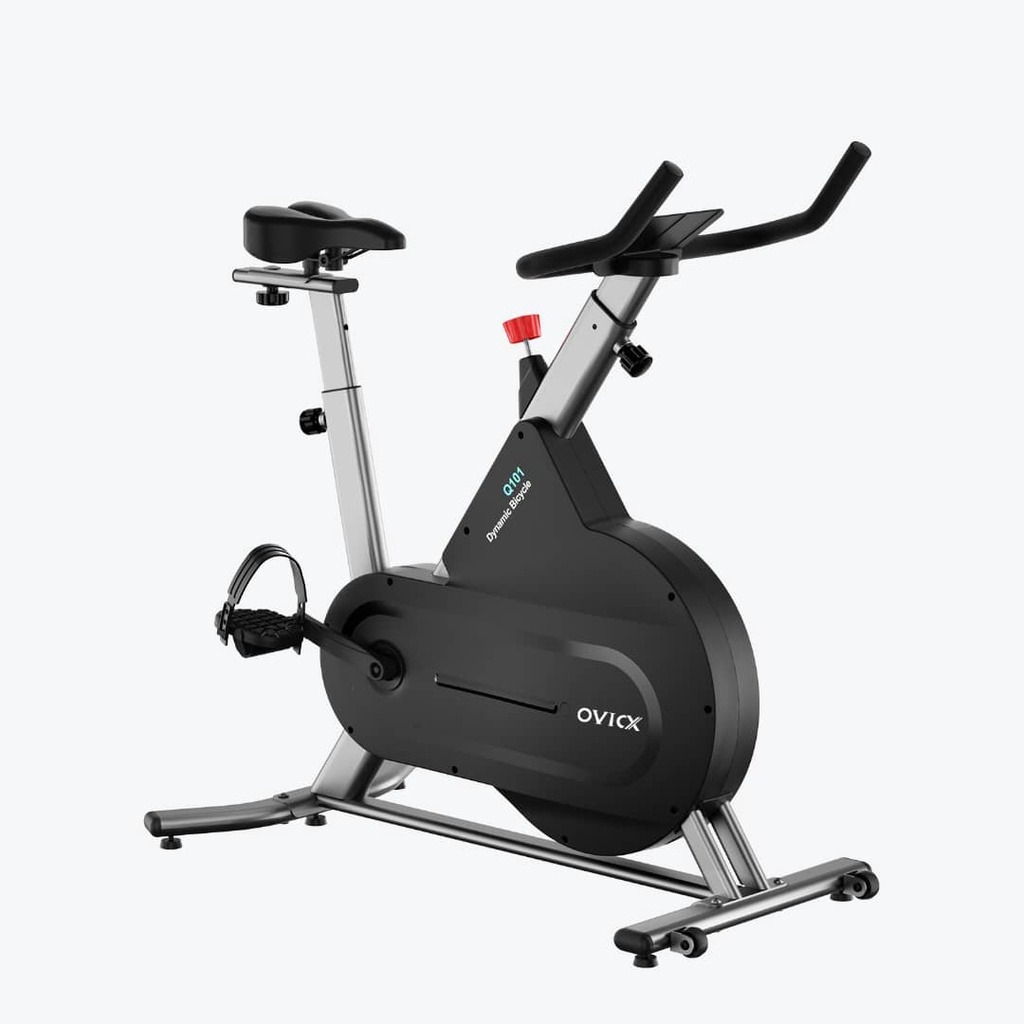 Dynamix exercise hotsell bike computer