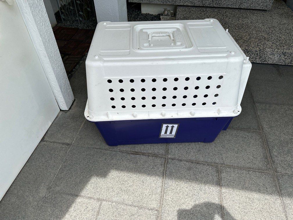 PP50 airline approved dog crate carrier, Pet Supplies, Homes & Other Pet Accessories on Carousell