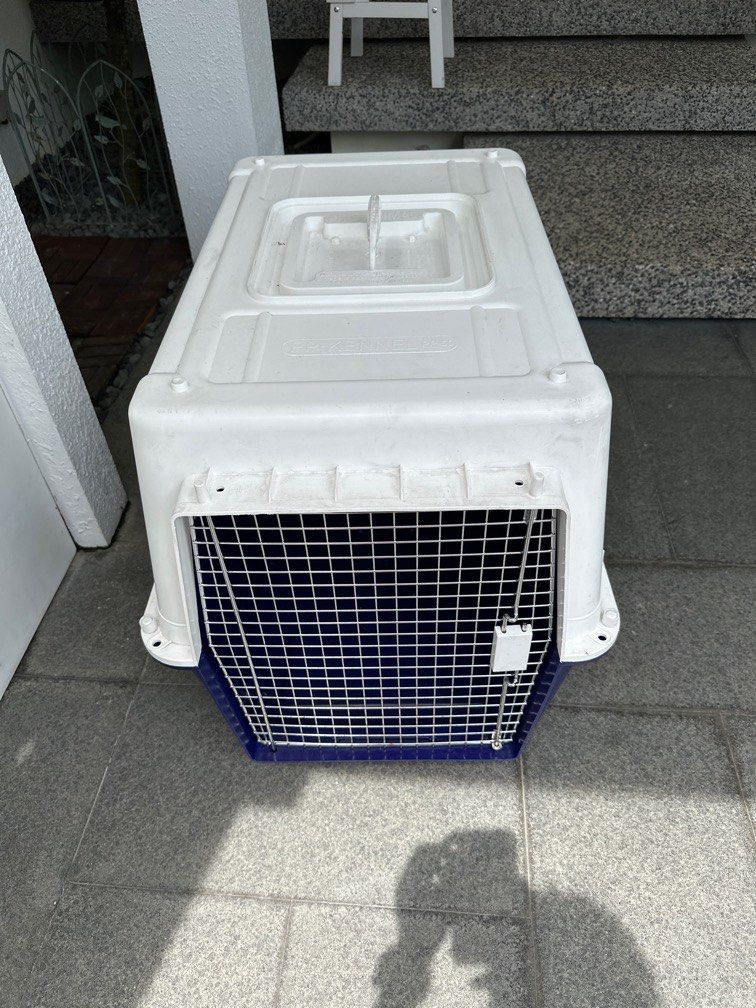 PP50 airline approved dog crate carrier, Pet Supplies, Homes & Other