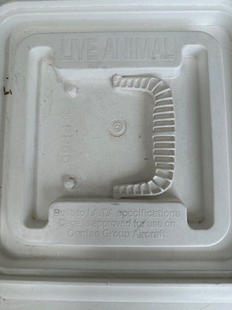 PP50 airline approved dog crate carrier, Pet Supplies, Homes & Other