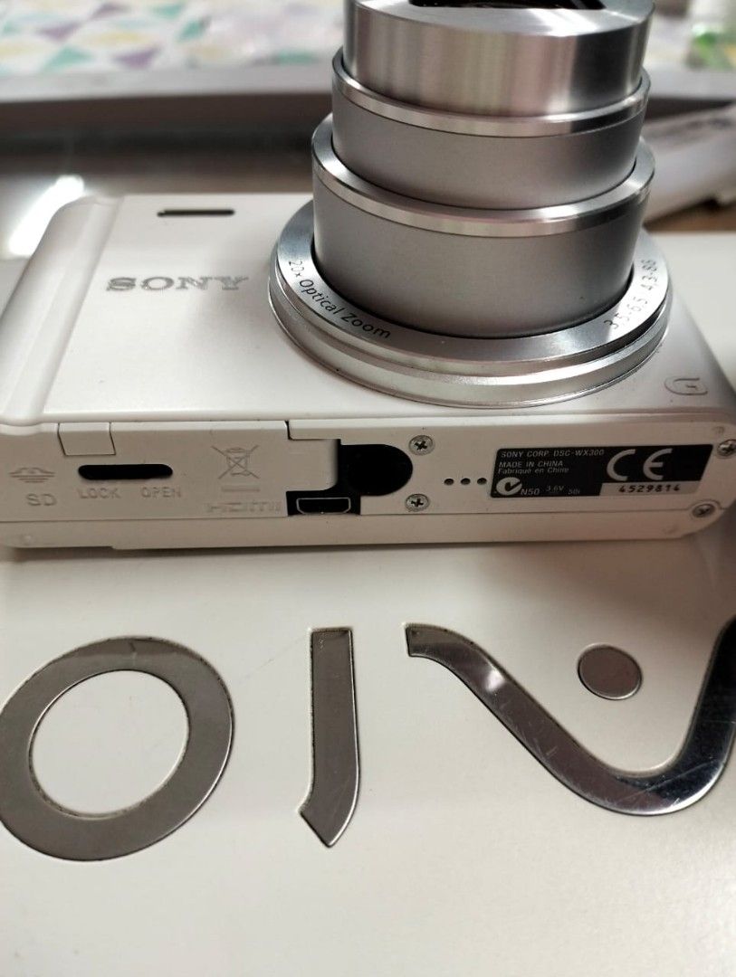 人気カラーの SONY Cyber-shot DSC-WX300 playgroundequipmentusa.com