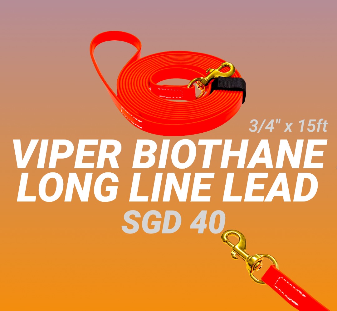 Viper Biothane Long Line Lead (3/4 x 15ft), Pet Supplies, Homes & Other  Pet Accessories on Carousell