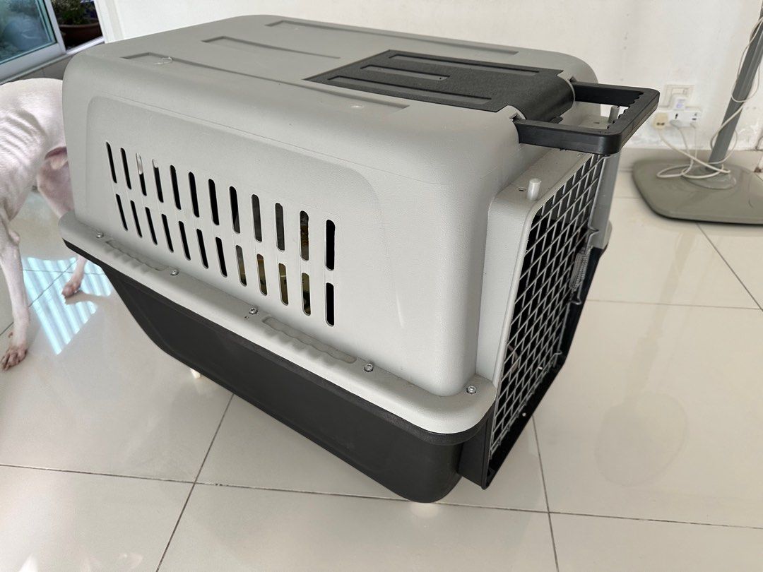 Xl pet shop carrier