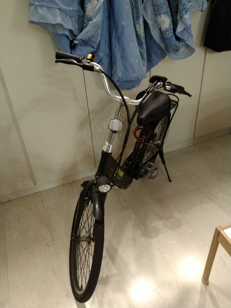 zebra ebike