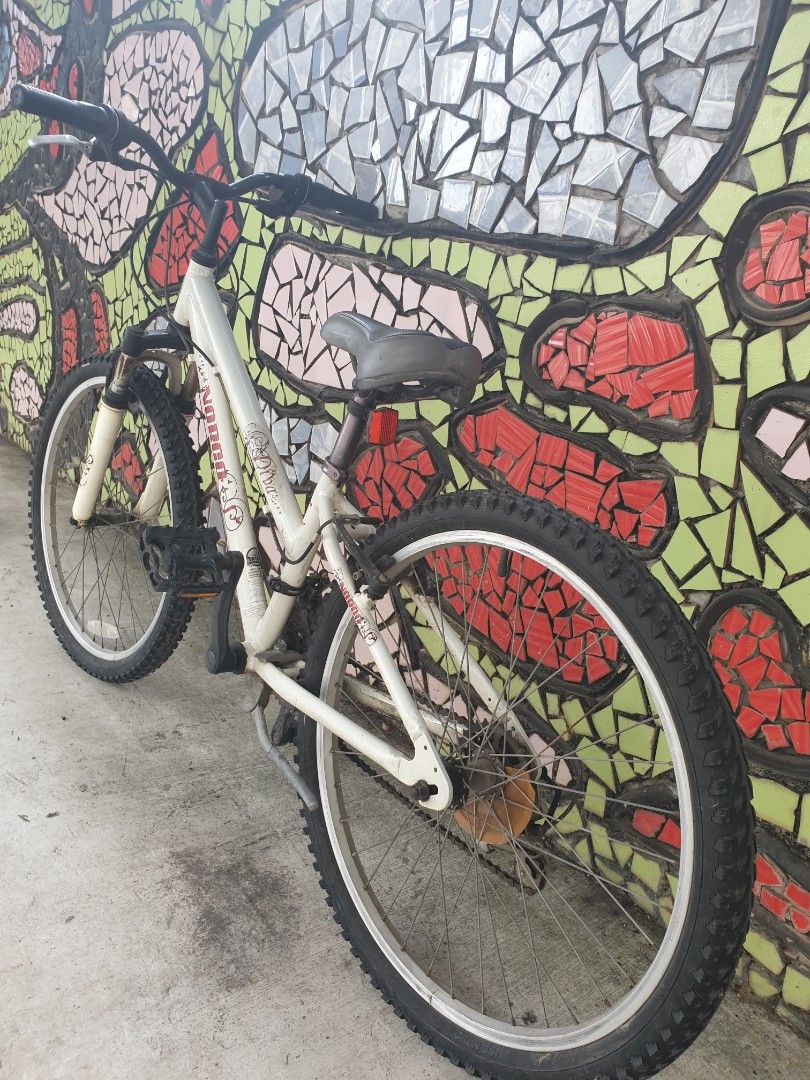 Norco Diva Good Quality Mountain Bicycle 24 Inch Aluminum