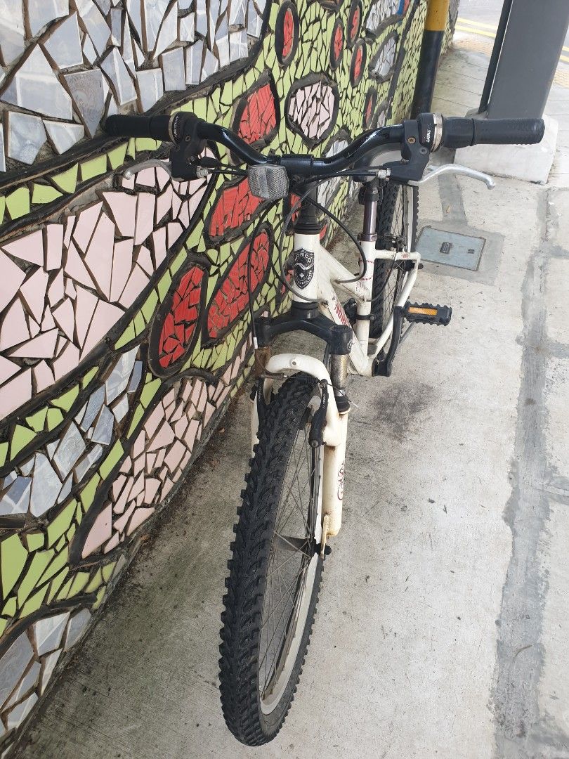 Norco diva 24 bike 2025