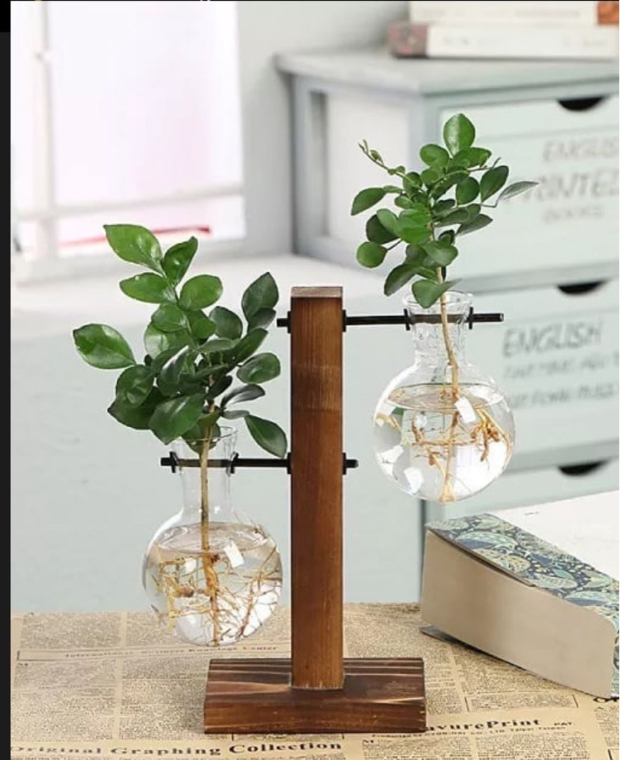 Desktop Glass Planter, Furniture & Home Living, Home Decor, Vases