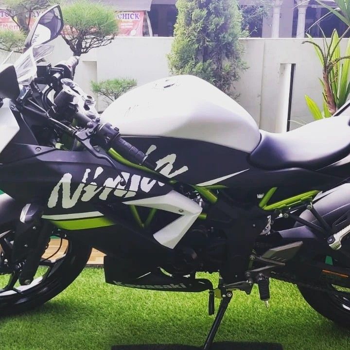 Ninja bx250a hotsell