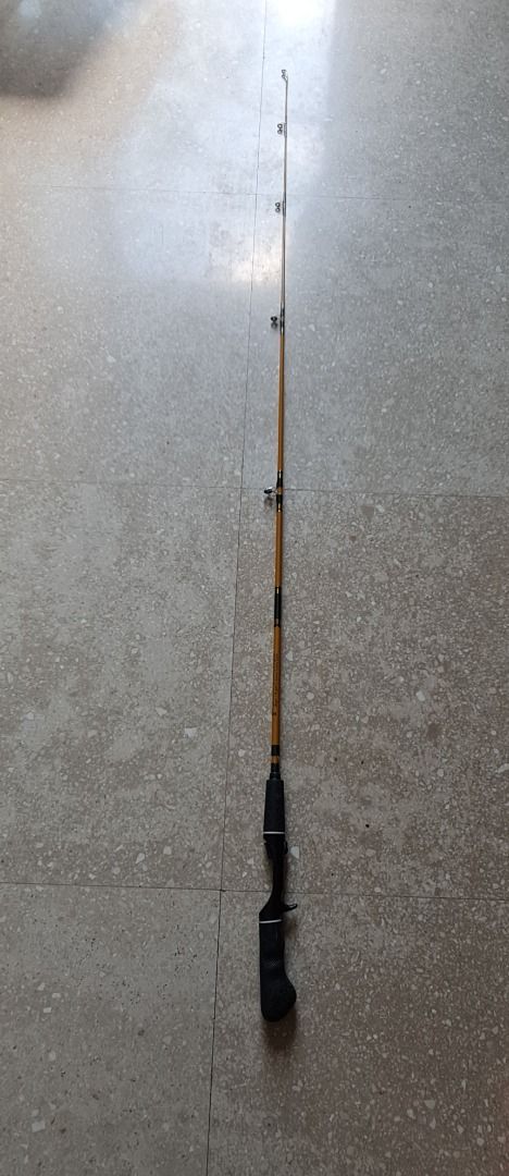 Eagle Claw baitcast rod, Sports Equipment, Fishing on Carousell