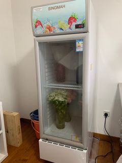 (Category: ) located in . Submitted by lilflowerroom (Listing ID 1243512229, Image 1). Description: .