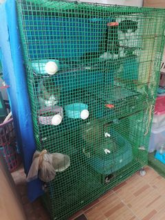 (Category: ) located in . Submitted by ky13oct (Listing ID 1243620540, Image 1). Description: .