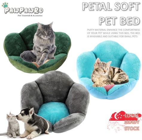 Adult 2025 cat bed