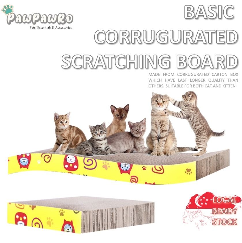 Cheap hotsell kitten accessories