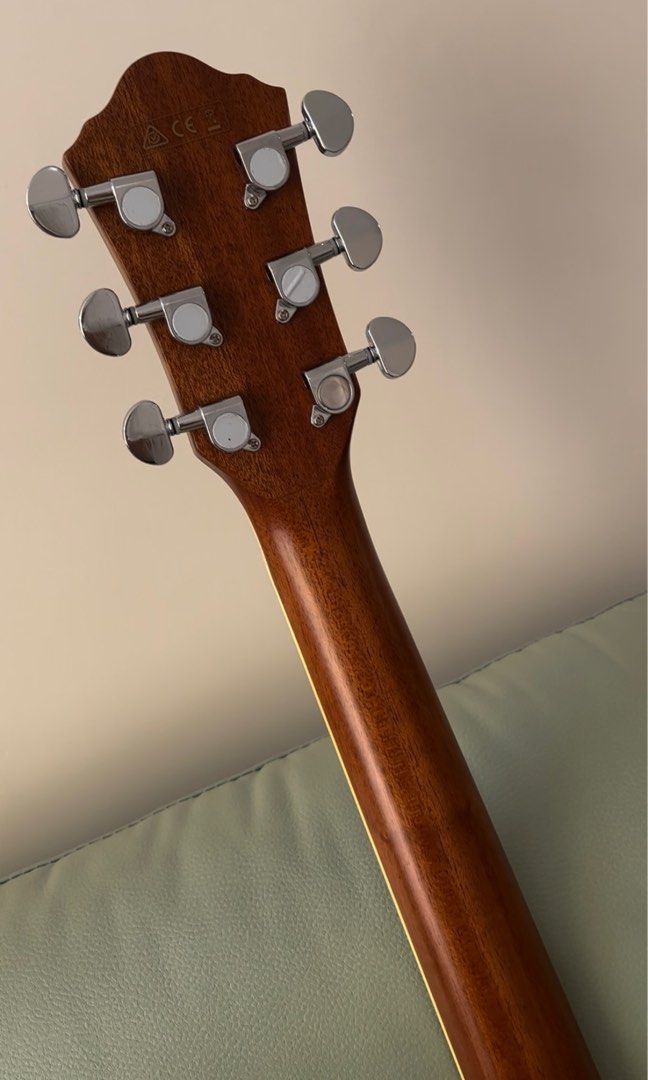 IBANEZ Acoustic guitar AEG1211VMS