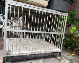 Kandang Anjing