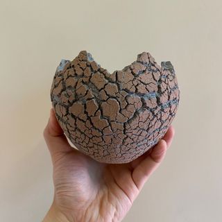 （分類：）位於 。 由 leungkeesecondhands 提交（商品編號 1243669119，圖片 1）。簡介： 。