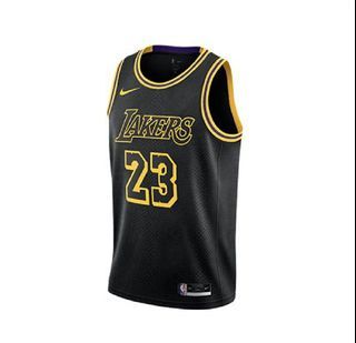 LeBron James Lakers Jersey (Mamba Edition), Men's Fashion, Activewear on  Carousell