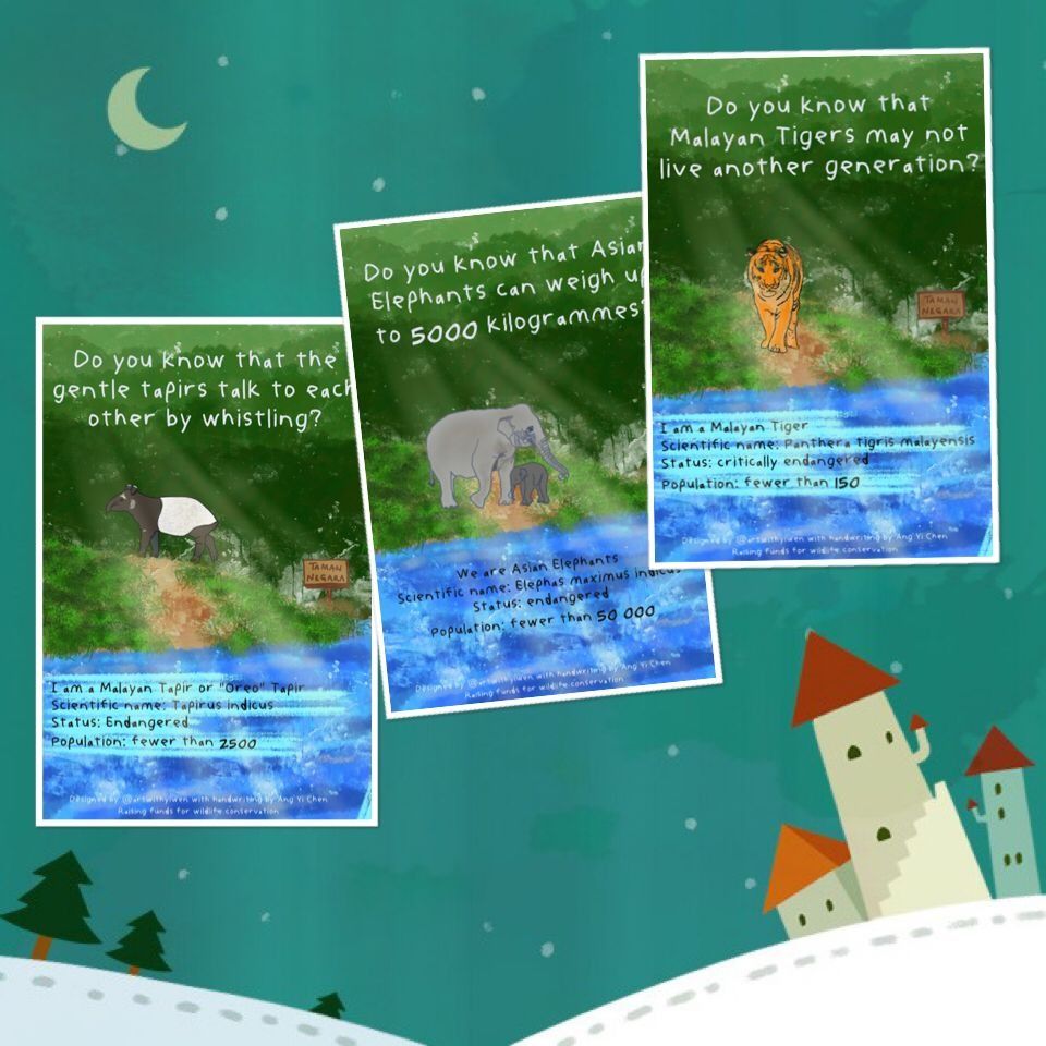 Original Artwork for Sale! Help conserve wildlife and the rainforest