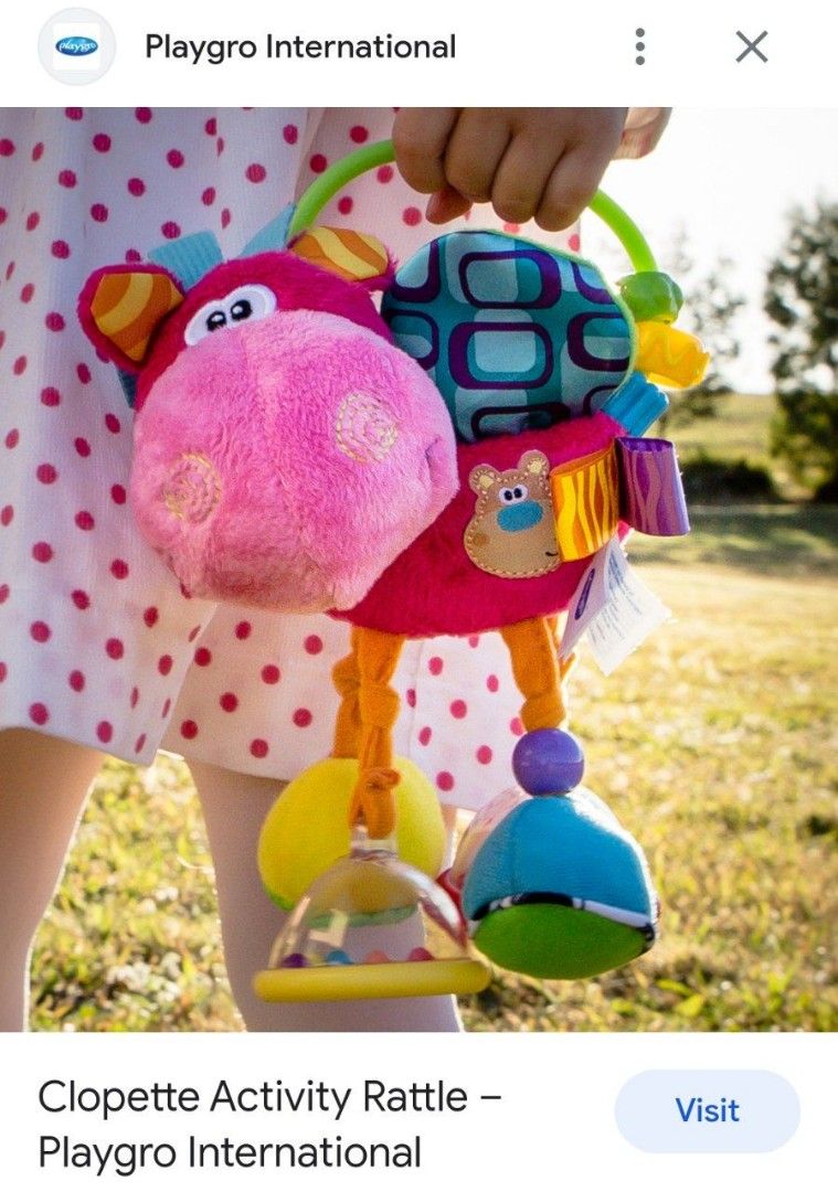 Playgro sale activity rattle