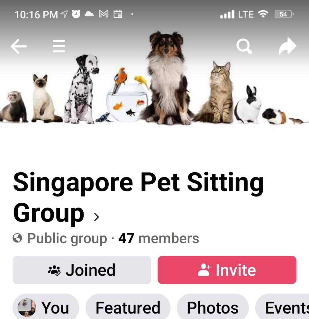 Singapore Pet Sitting Group, Pet Supplies, Health & Grooming on Carousell