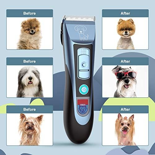 Electric dog discount trimmers