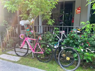 (Category: ) located in . Submitted by pnl (Listing ID 1243581015, Image 1). Description: .