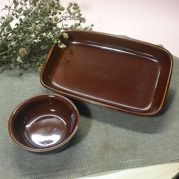 Brown Rectangular Plate with condiment dish (set) on Carousell
