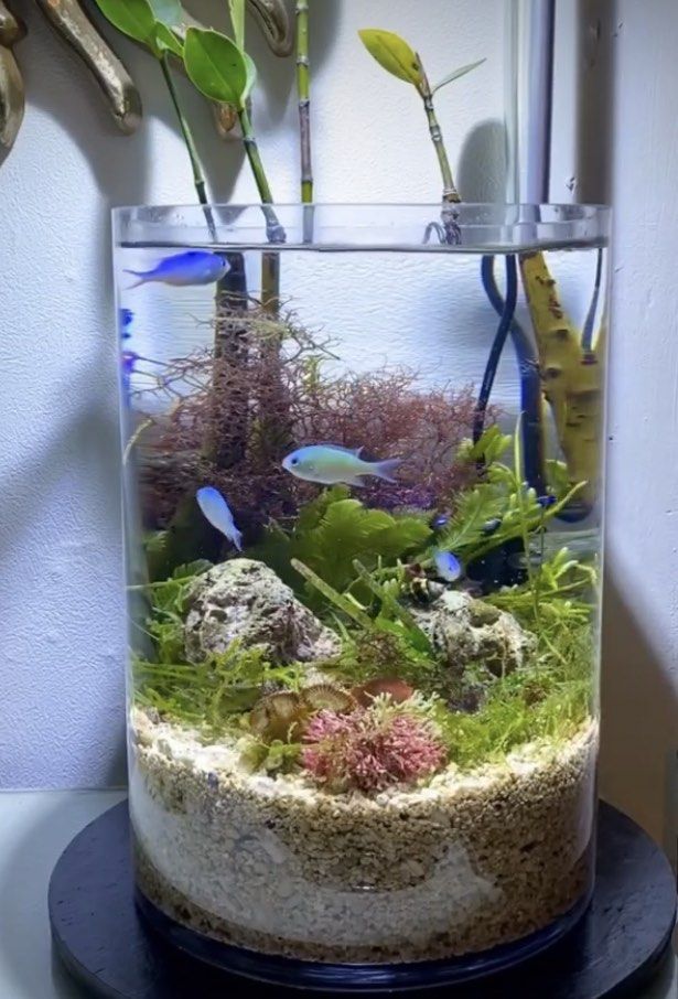 1pcs Glass Betta Fish Tank Bamboo Base Mini Fish Tank Decoration  Accessories Rotate Decoration Fish Bowl Aquarium Accessories Y200917