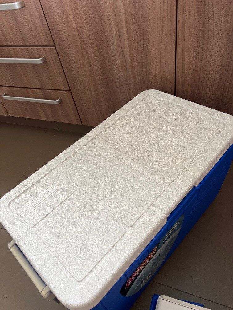 Coleman Cooler Boxes (45.4l & 4.7l), Everything Else on Carousell