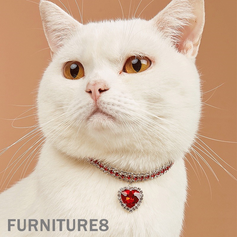 Cat collar gold chain outlet