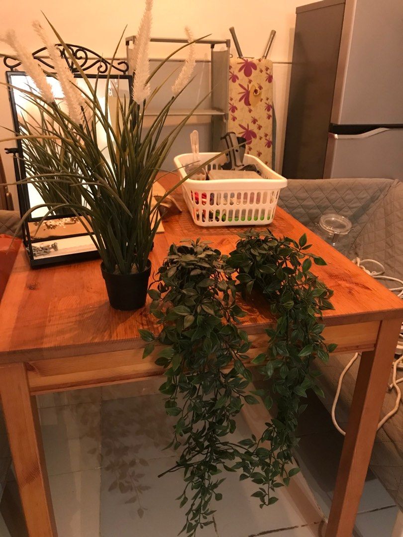 Ikea artificial plants, Furniture & Home Living, Home Decor, Artificial