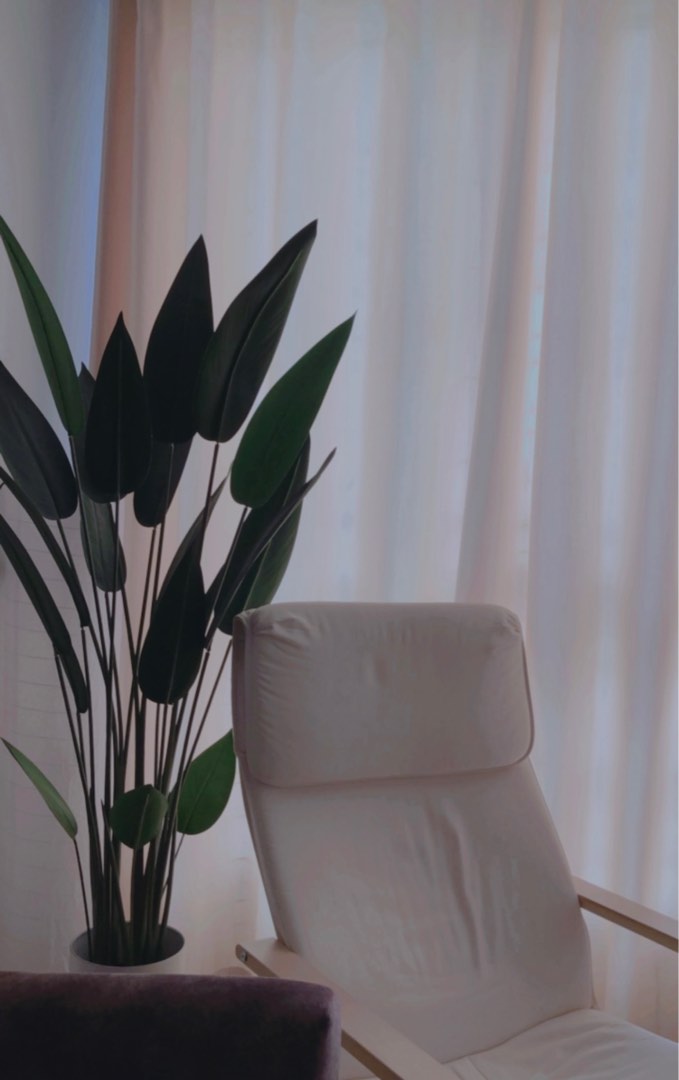 IKEA PELLO, Furniture & Home Living, Furniture, Chairs on Carousell