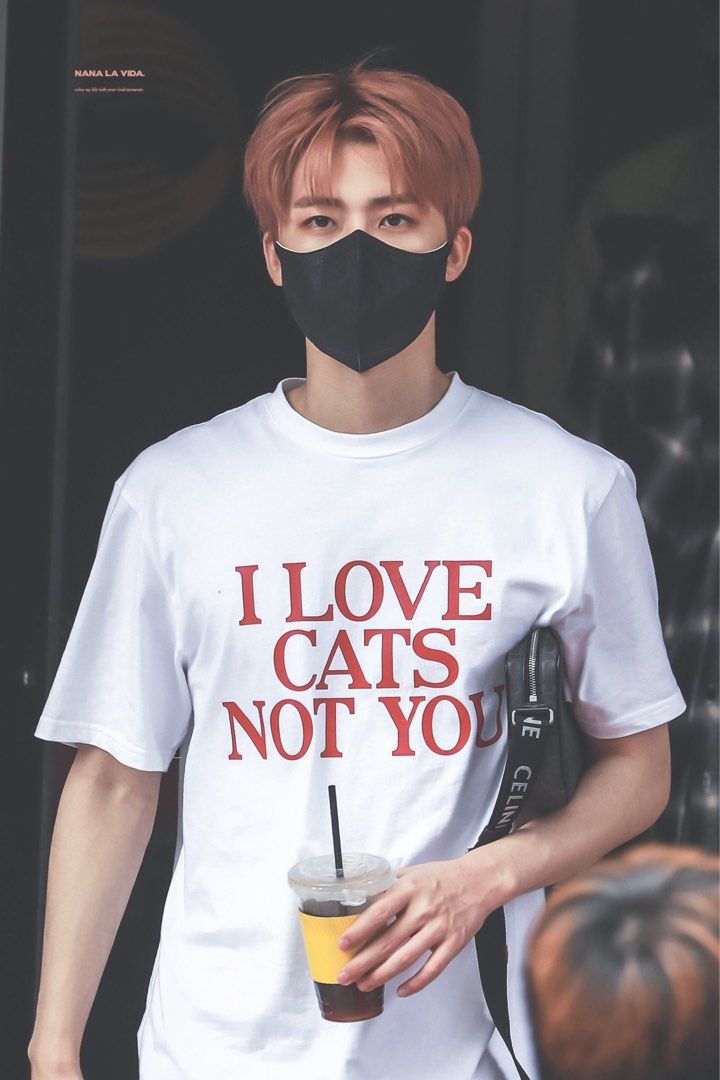 ITZAVIBE I love cats not you shirt na jaemin nct dream suho