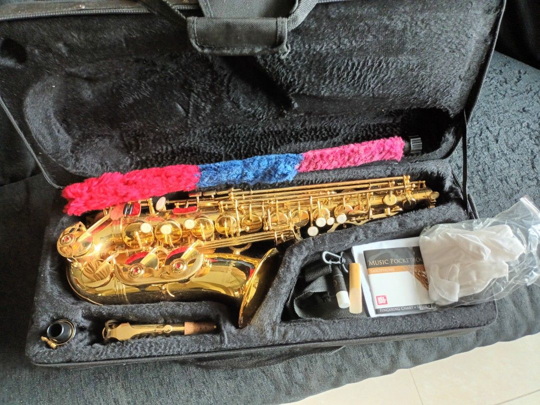 Mendini by Cecilio Eb alto saxophone, Hobbies & Toys, Music & Media