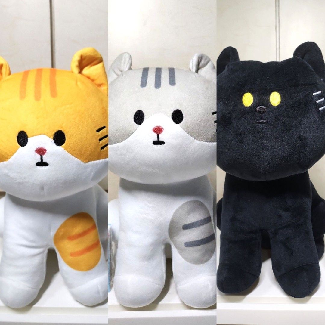 My home cat sales