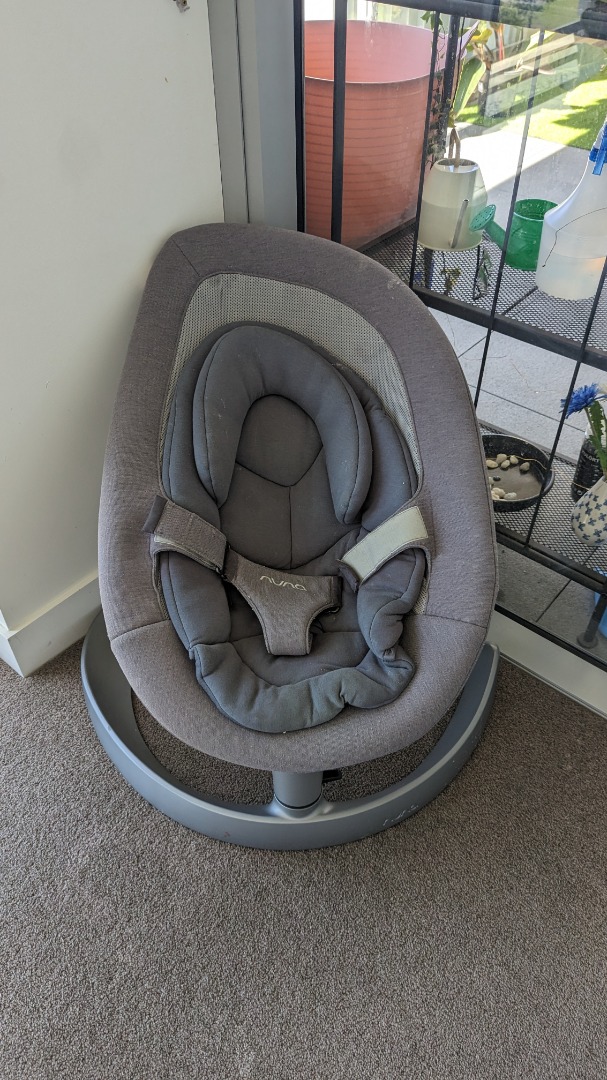 Baby bunting nuna leaf clearance