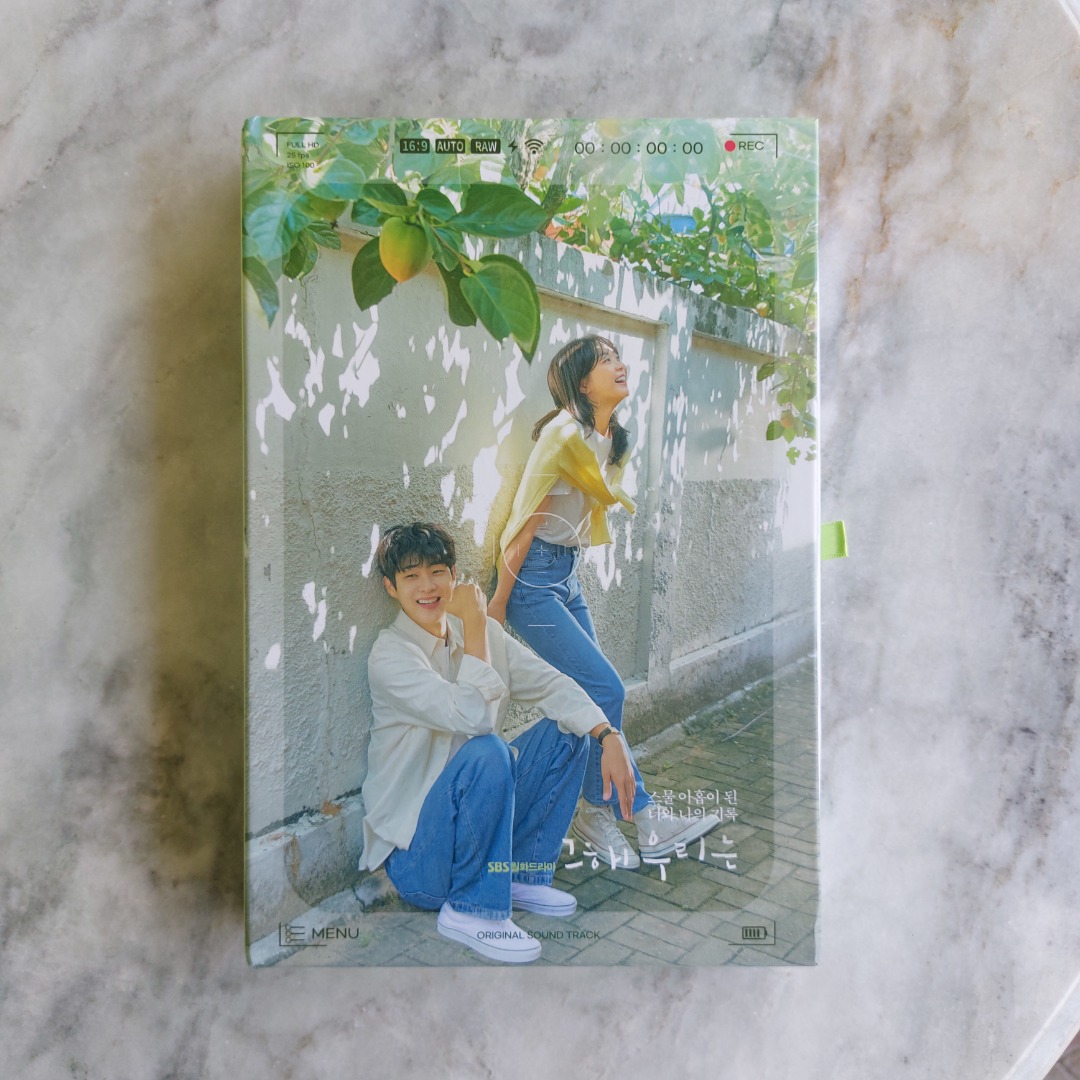 Our Beloved Summer OST Album (Unsealed), Hobbies & Toys, Memorabilia