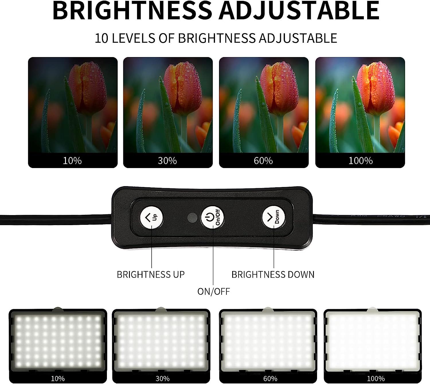 Photography Video Lighting Kit, LED Studio Streaming Lights W/70 Beads &  Color Filter for Camera Photo Desktop Video Recording Filming Computer  Conference Game Stream YouTube TikTok Portrait Shooting (Black),  Photography, Photography Accessories,