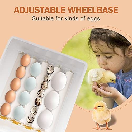 [Stockist.SG] Aquarium Basics Egg Hatching Incubator with Egg Turner