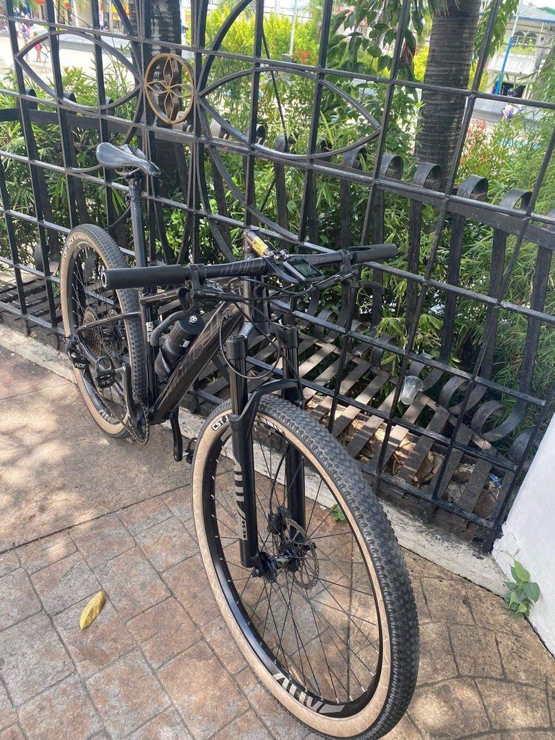 SUNPEED ACE 29er