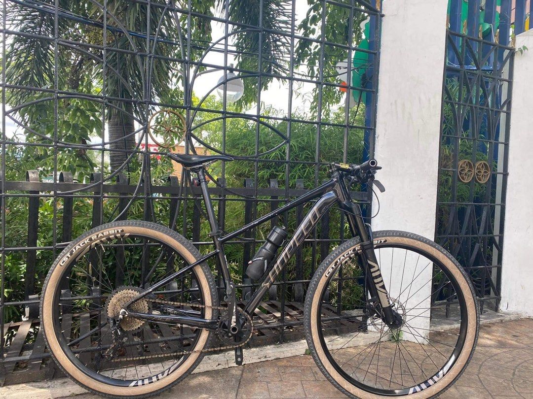 Sunpeed best sale ace 29er