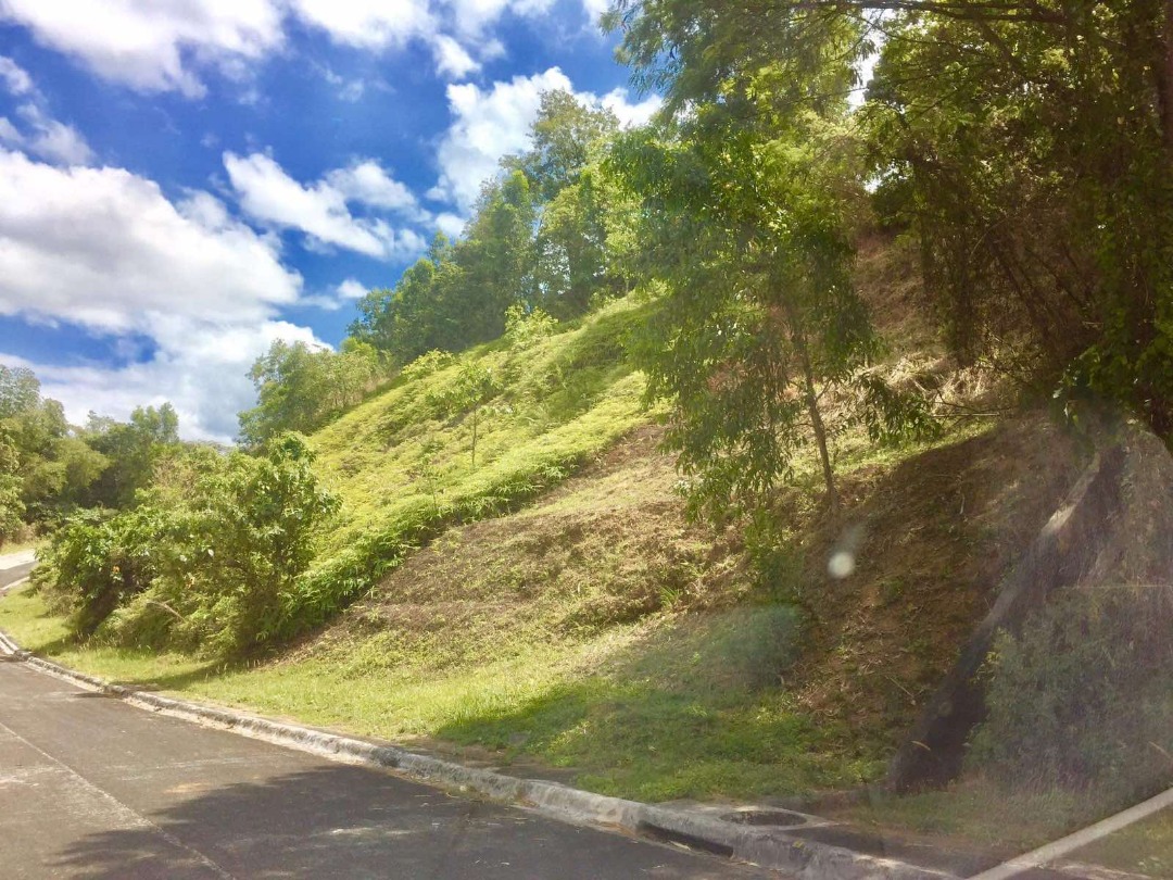 TIMBERLAND HEIGHTSBANYAN RIDGE (LOT FOR SALE) on Carousell